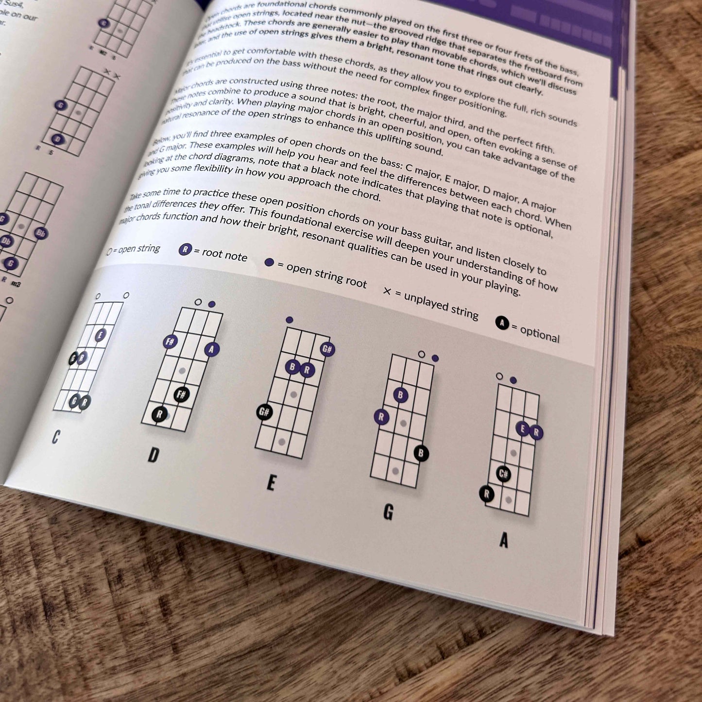 Bass Theory Cheat Sheet + Bass Theory Simplified Bundle - Musiciangoods