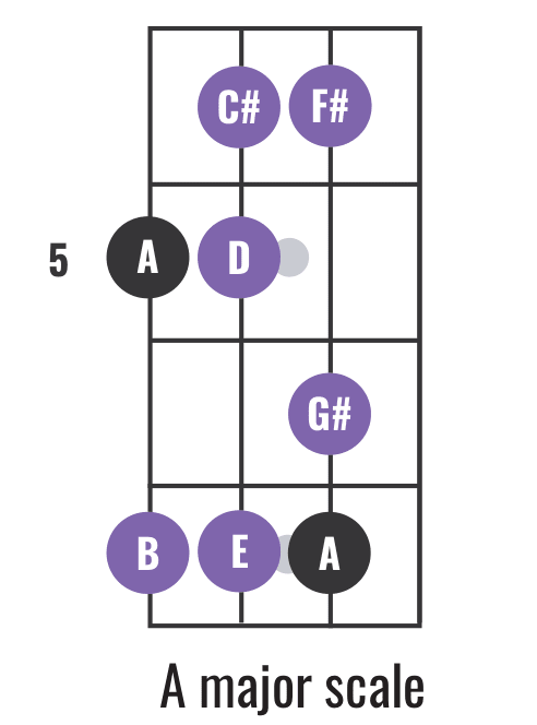 Bass Scale Positions, Simplified