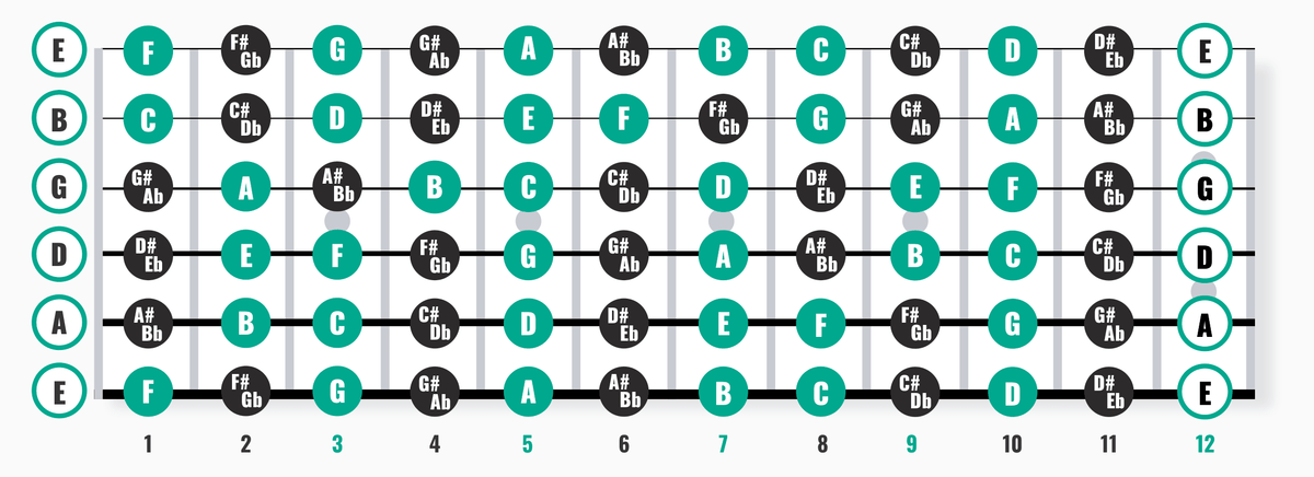 Learning Guitar as an Adult (2026): What Actually Changes