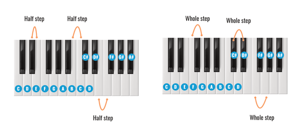 Whole Steps and Half Steps in Music, Simplified