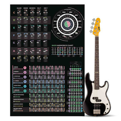 Bass Guitar Theory Poster - Musiciangoods