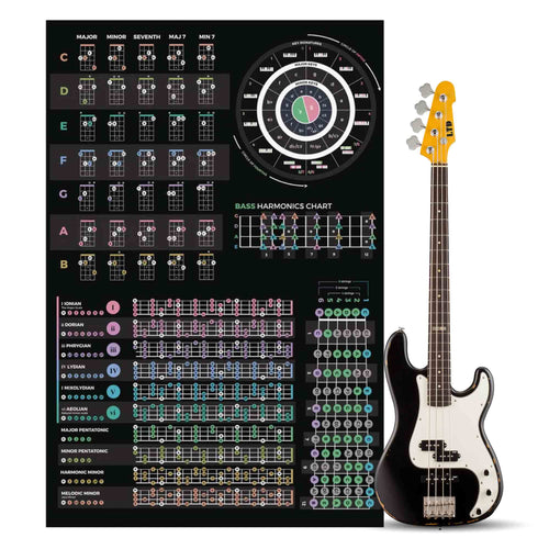 Bass Guitar Theory Poster - Musiciangoods