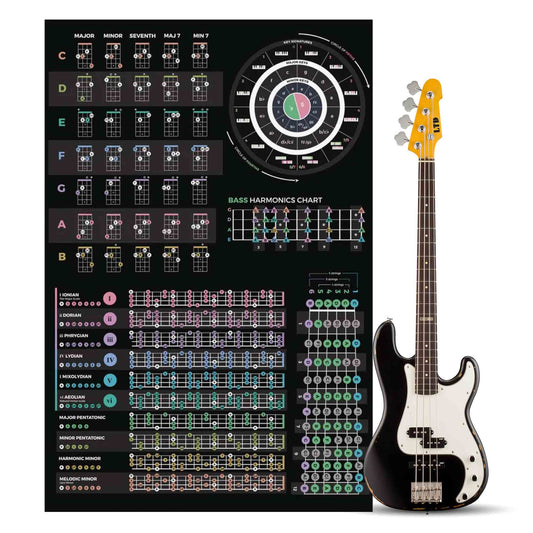 Bass Guitar Theory Poster - Musiciangoods