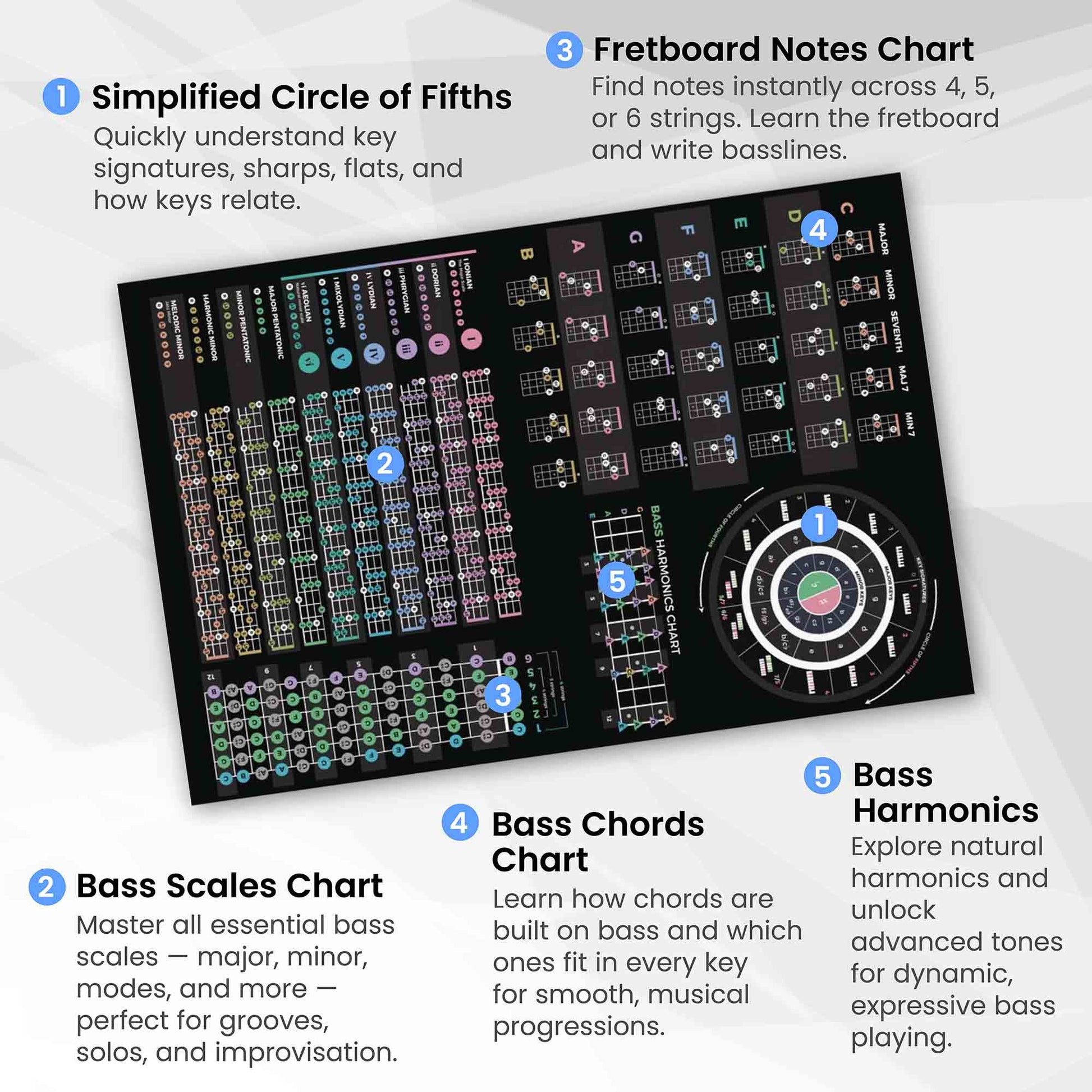 Bass Guitar Theory Poster - Musiciangoods