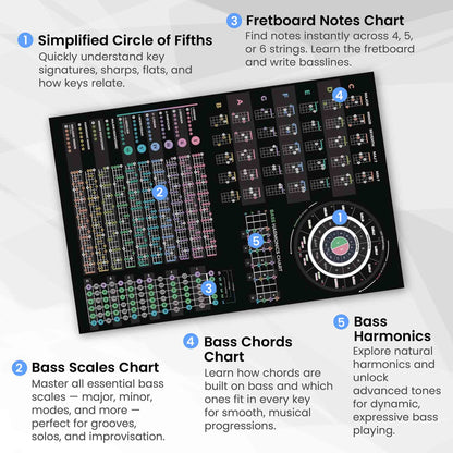 Bass Guitar Theory Poster - Musiciangoods
