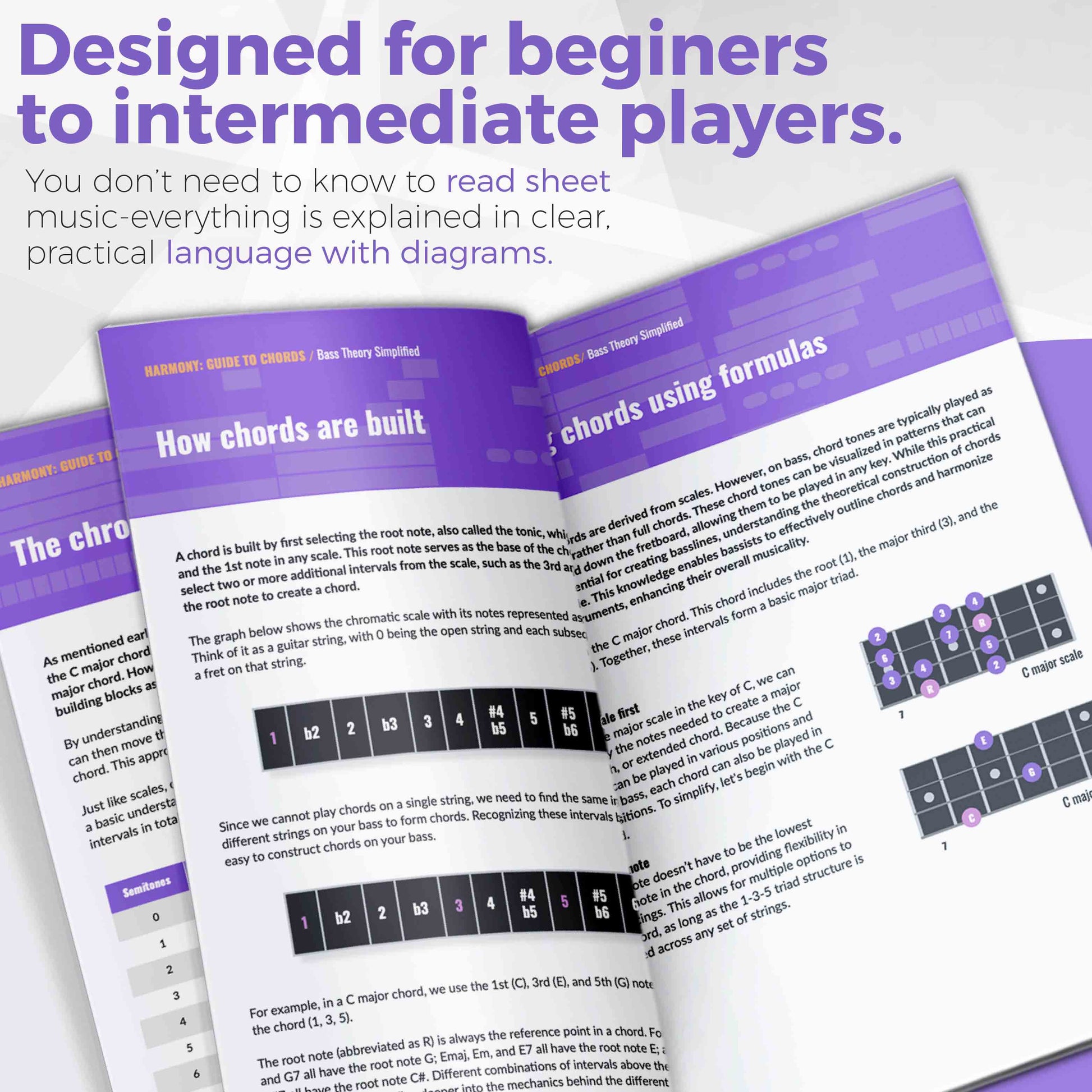 Bass Theory Simplified (Paperback/PDF) - Musiciangoods