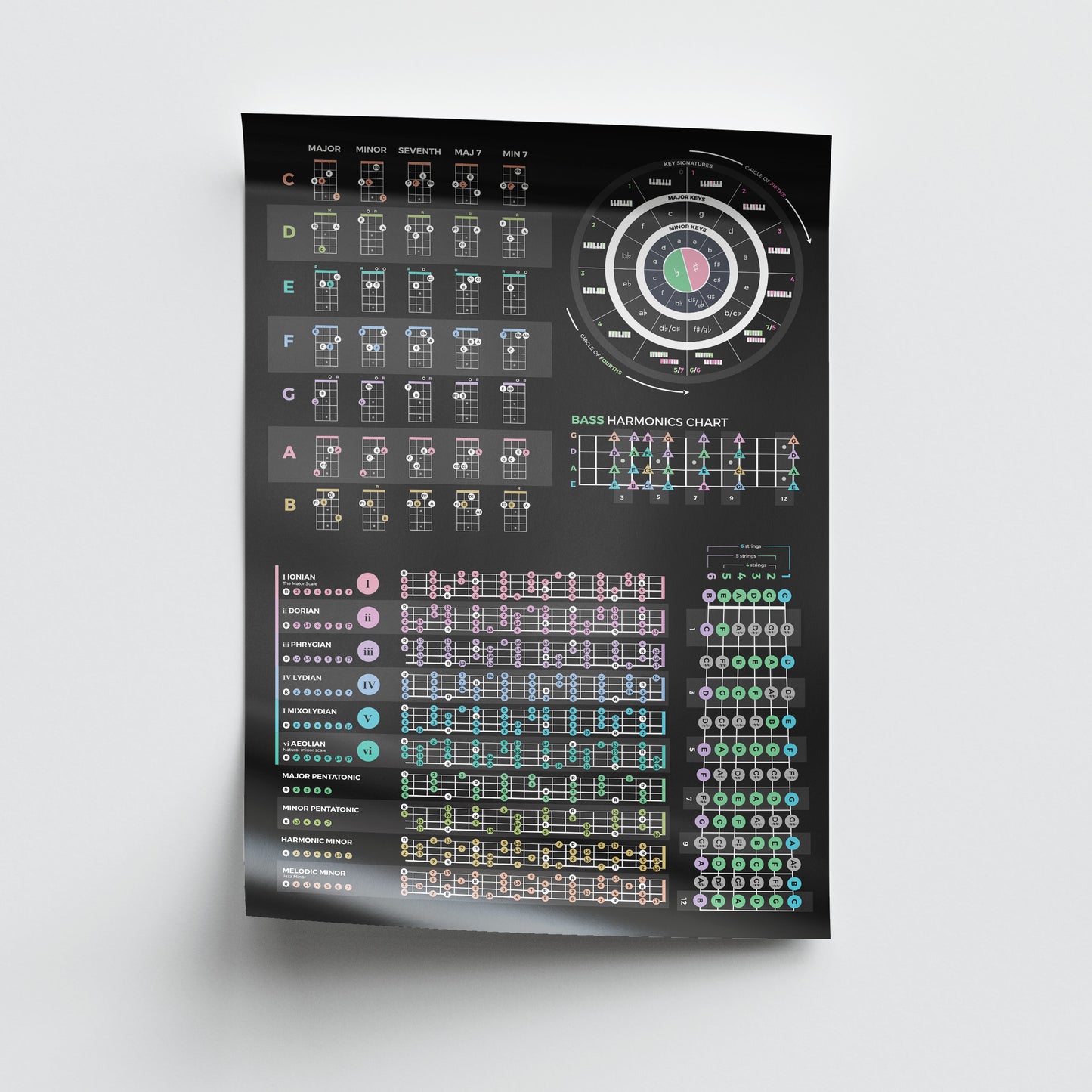 Bass Guitar Theory Poster - Musiciangoods