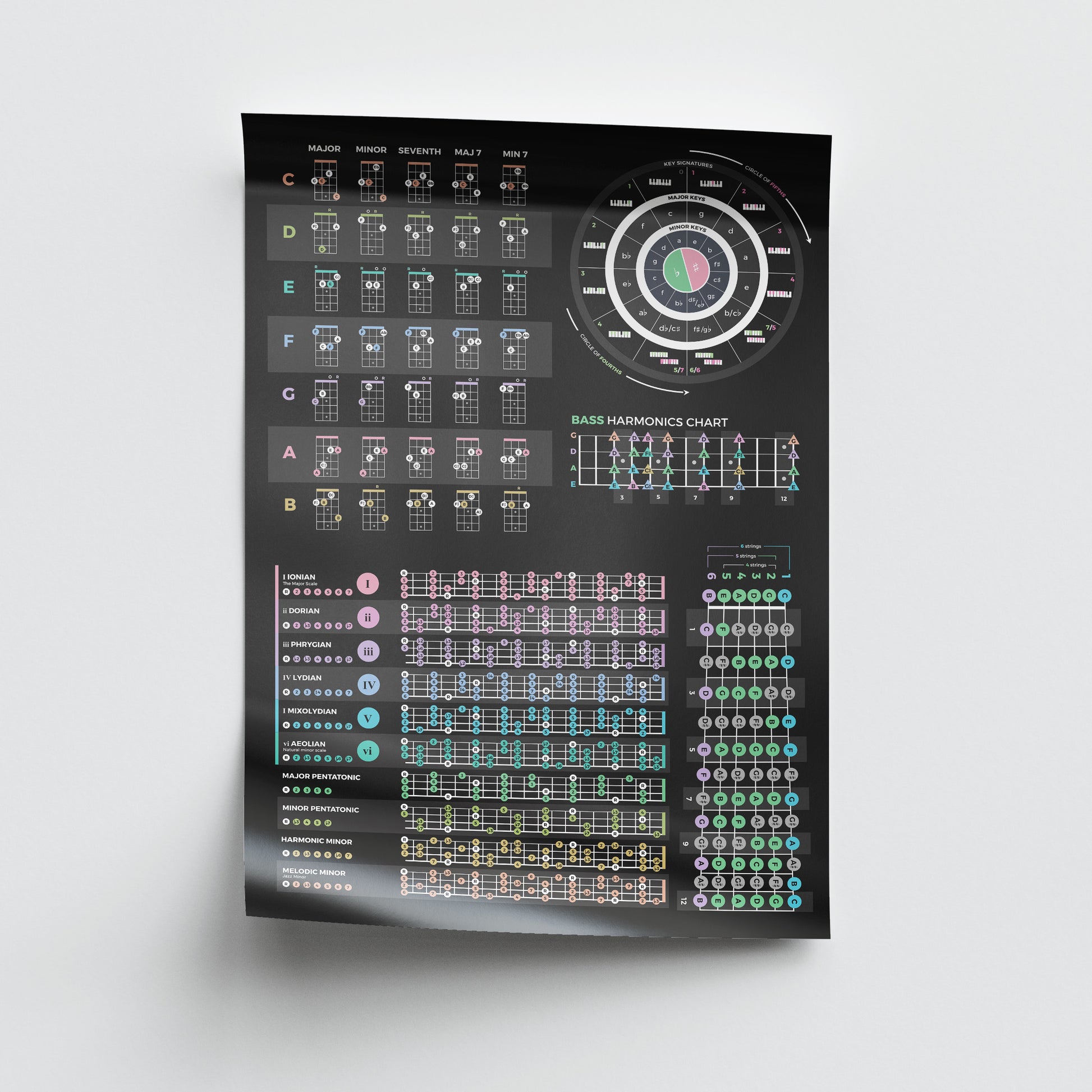 Bass Guitar Theory Poster - Musiciangoods