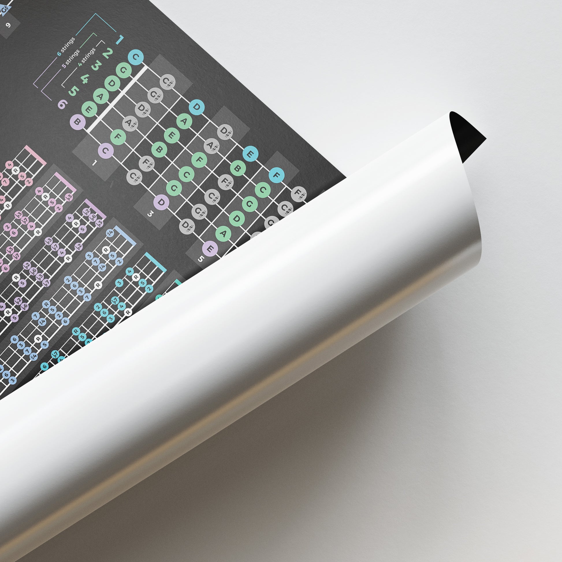 Bass Guitar Theory Poster - Musiciangoods