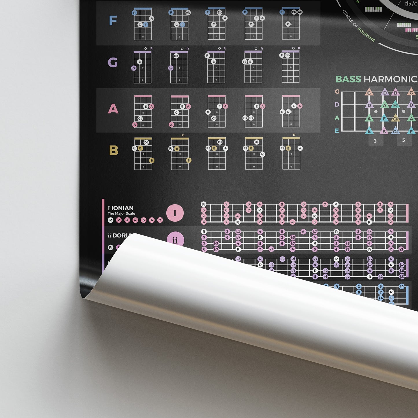 Bass Guitar Theory Poster - Musiciangoods