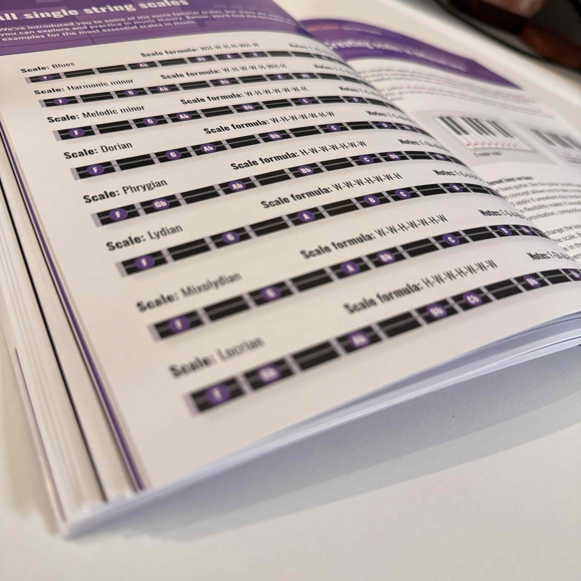 Bass Theory Simplified (Paperback/PDF) - Musiciangoods