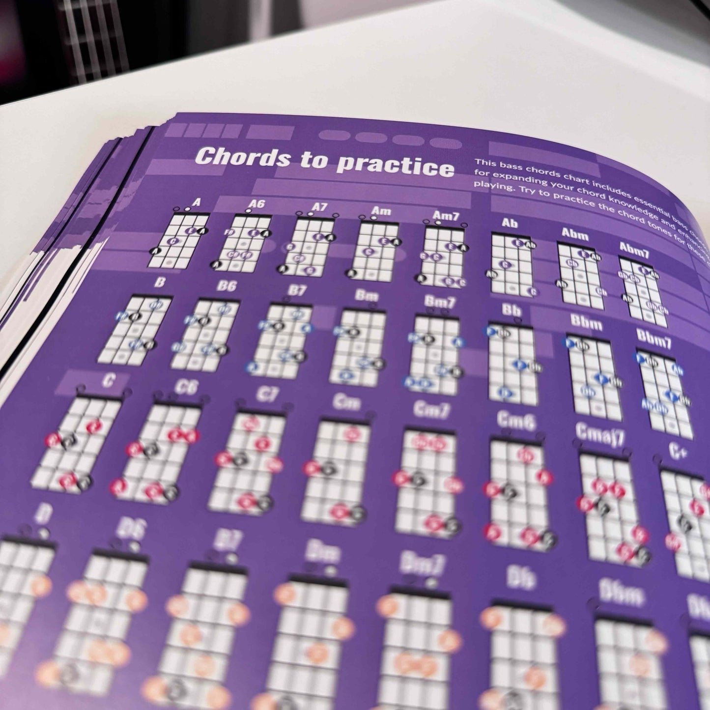 Guitar & Bass Theory Books Bundle - Musiciangoods