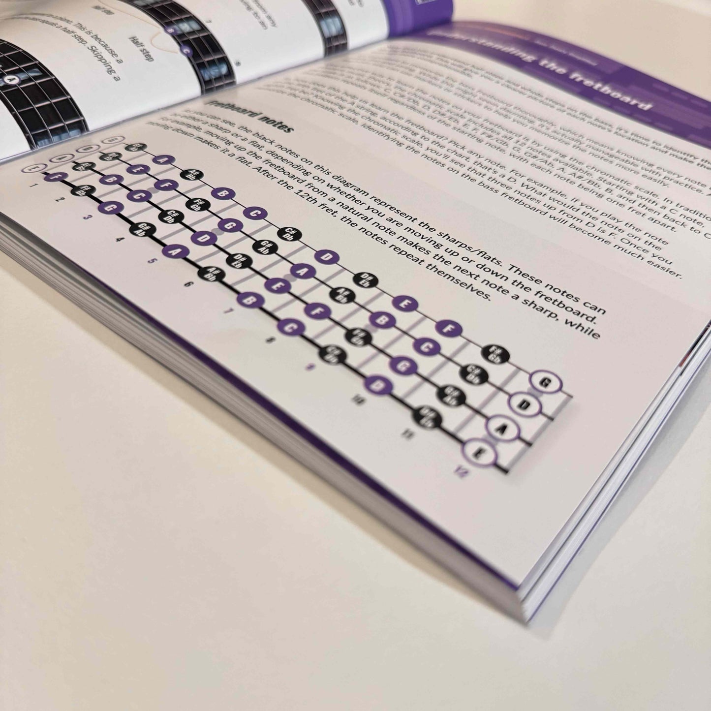 Guitar & Bass Theory Books Bundle - Musiciangoods