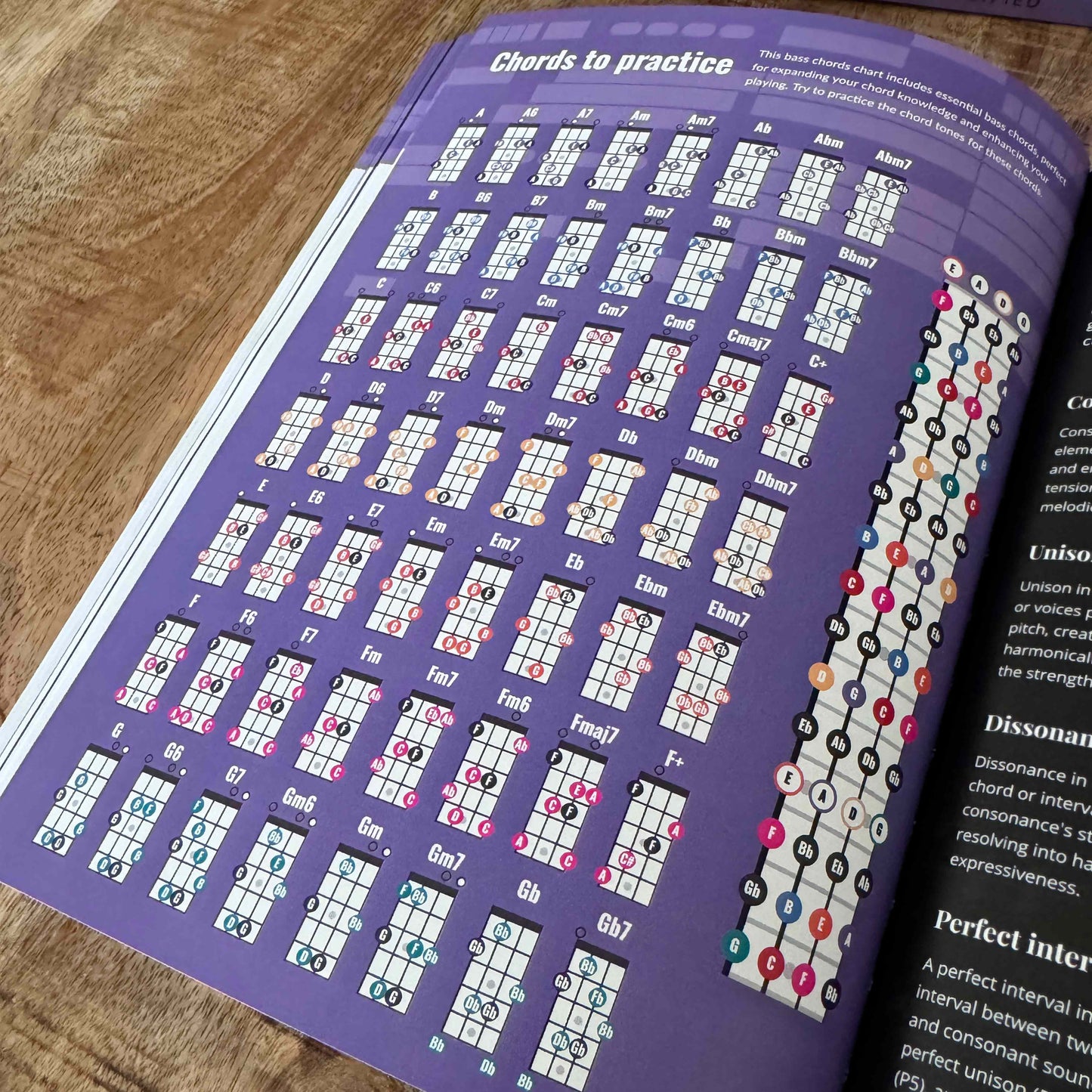 Bass Theory Cheat Sheet + Bass Theory Simplified Bundle - Musiciangoods