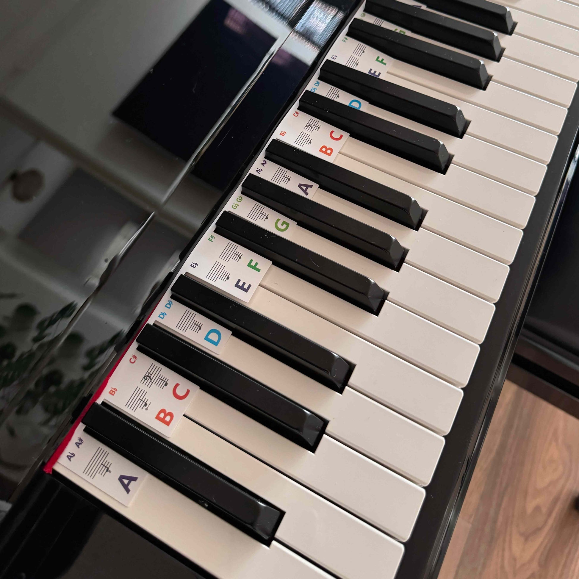 Piano Removable Keyboard Note Stickers - Musiciangoods