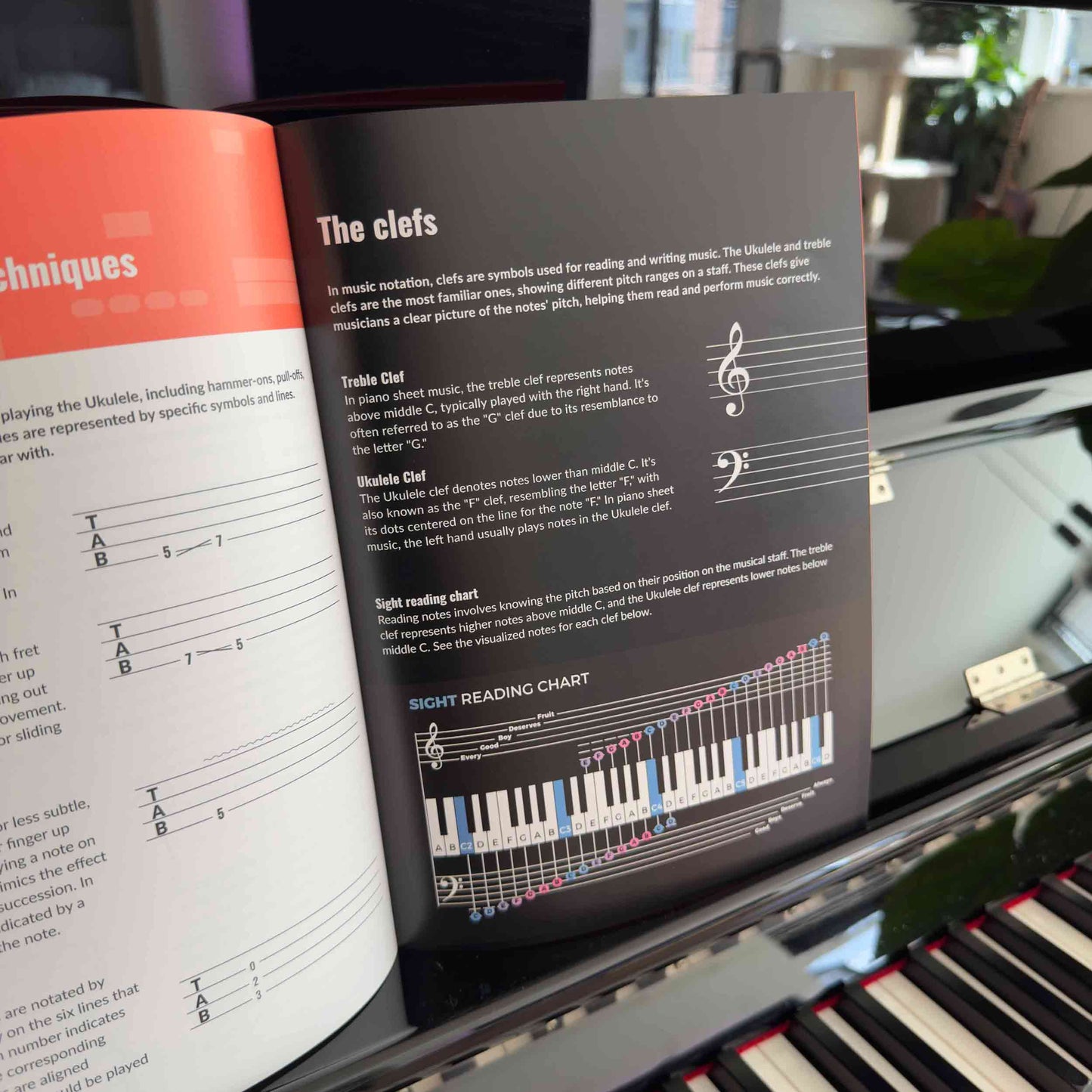 Guitar & Ukulele Theory Books Bundle - Musiciangoods