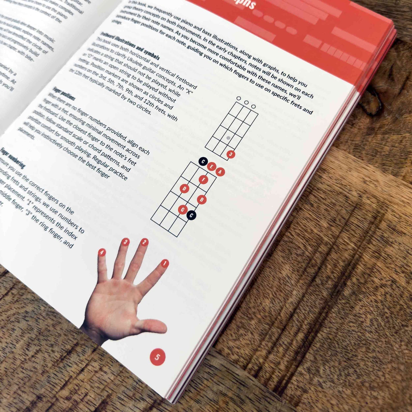 Guitar & Ukulele Theory Books Bundle - Musiciangoods